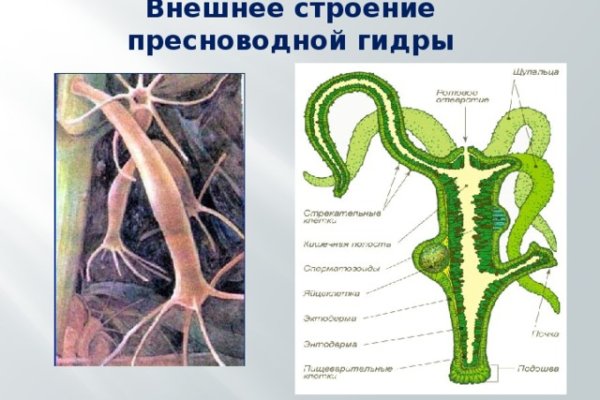 Скрытый интернет как войти