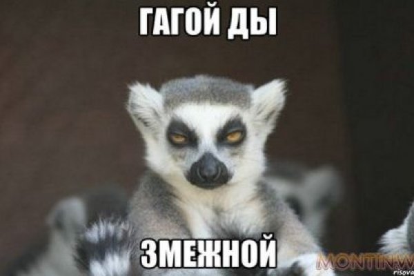 Ссылки для супернета