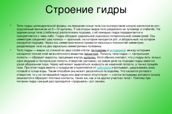 Гидра зайти кракен