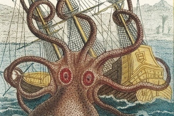 Kraken19at