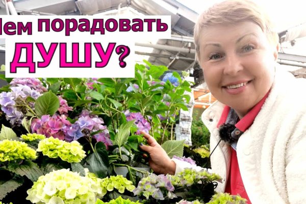 Действующие ссылки на кракен