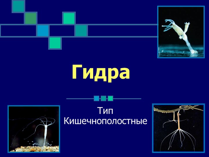 Kraken счастье сайт