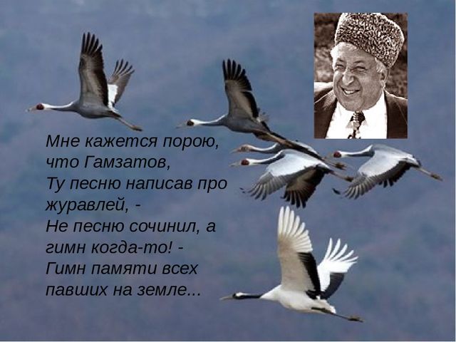 Кракен супернет маркет