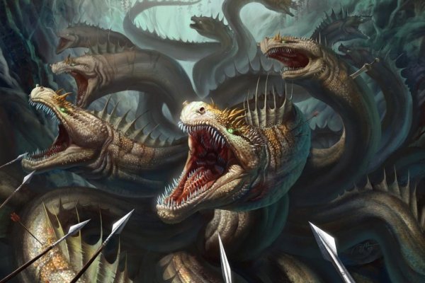 Kraken настоящая ссылка