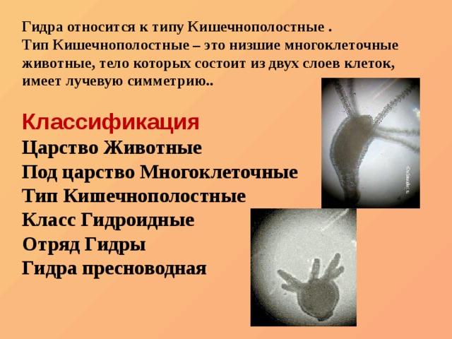 Как зайти на кракен супернет