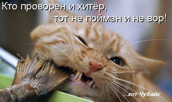 Мега кракен блэк спрут