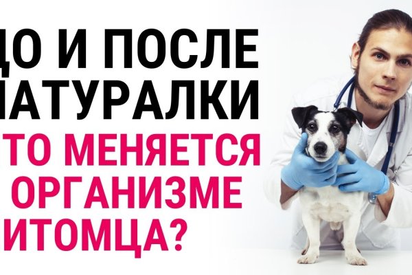 Кракен не заходит