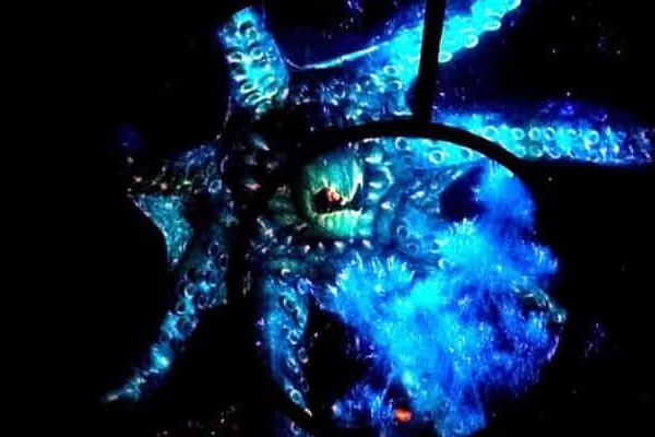 Kraken whitenet зеркала кракен обход