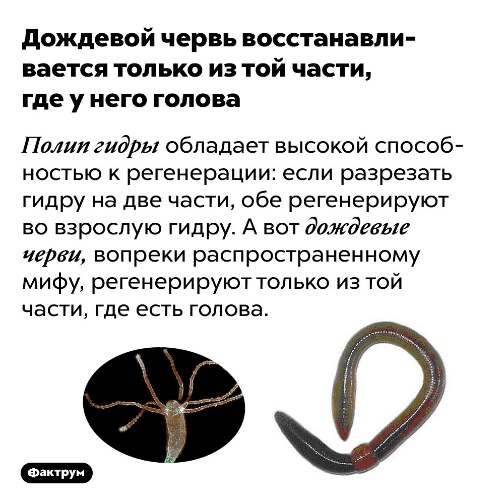 Не могу зайти в кракен